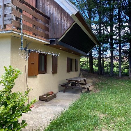 Appartement Dans Le Chalet La Chapelle-en-Vercors Exterior foto